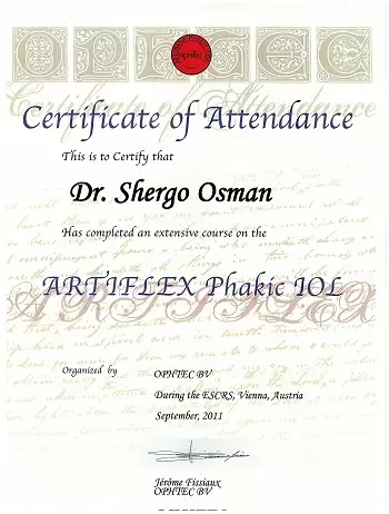 Сертификат Осман Шерго Artiflex